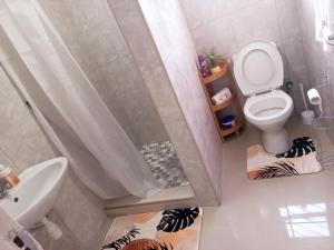 a bathroom with a shower with a toilet and a sink at TALITHA'S SELF-CATERING ACCOMONDATION in Walvis Bay