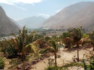 a view of a valley with palm trees and mountains at Cabaña en Fundo Huabayor in Lima