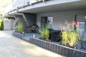 Ogród w obiekcie Sunny Adventure Baltic Apartament