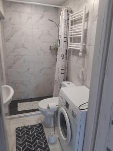 a bathroom with a toilet and a washing machine at Plungės gatvės 18 apartamentai in Telšiai
