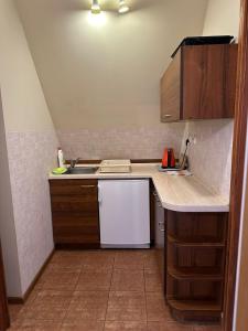 Kuchyňa alebo kuchynka v ubytovaní Apartamenty Złota Palma