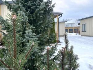 eine Gruppe von Weihnachtsbäumen in einem Hof mit Schnee in der Unterkunft Saunallinen kaksio 53 m2 meren läheisyydessä in Kokkola