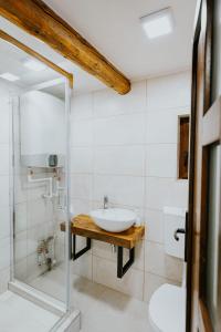 a bathroom with a sink and a glass shower at RelaxLak 