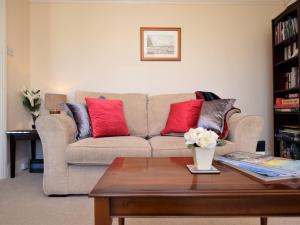 ein Wohnzimmer mit einem Sofa und roten Kissen in der Unterkunft 1 Bed in Appledore CAPTV in Appledore