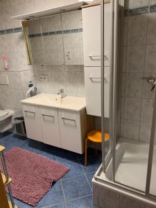 ein Bad mit einem Waschbecken und einer Dusche in der Unterkunft Urlaub am Bauernhof Familie Rößler vlg. Spor in Pöls