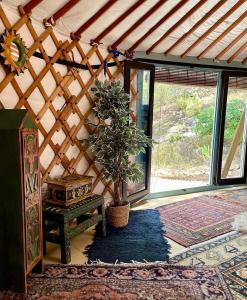 una stanza con tavolo e pianta in vaso di Yurt in La Nucia met zwembad a La Nucia