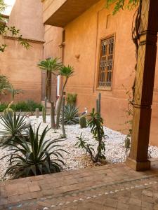 une cour avec des plantes devant un bâtiment dans l'établissement Villa les oliviers, à Marrakech