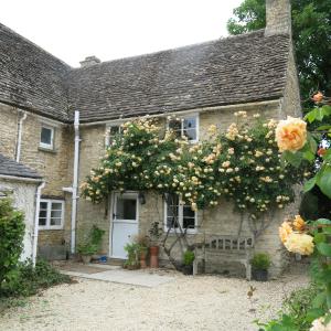 a house with a flowering tree in front of it at Characterful Cotswold cottage in Cirencester