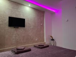 a bedroom with a bed with a tv on a wall at Apartman Rose in Kruševac