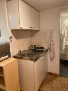 Foto dalla galleria di Heerbrugg studio flat a Widnau