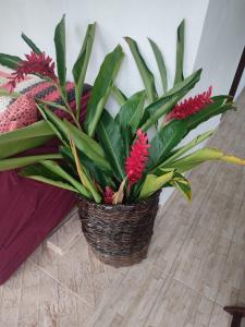 Gallery image of Pousadinha Ateliê da Maite in Paraty +22 photos