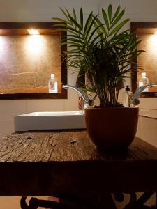um lavatório de casa de banho com uma planta em vaso num balcão em Casinha aconchegante em meio a natureza em Rio Acima