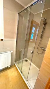 a shower with a glass door in a bathroom at Chalupa pod lipou in Zázrivá +29 photos