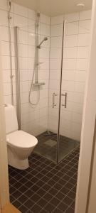 ein Badezimmer mit einem WC und einer Glasduschkabine in der Unterkunft Cozy-Mozy in Stockholm