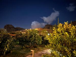 a garden at night with mountains in the background at Rural tents Naseem الخيمةالريفيةAlouzaib in AlUla