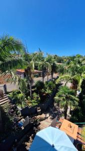 a view of a beach with palm trees and an umbrella at Villa Alta Vista in São Jorge