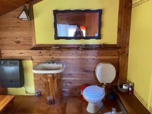 y baño con aseo, lavabo y espejo. en Del Francés en Villa La Angostura