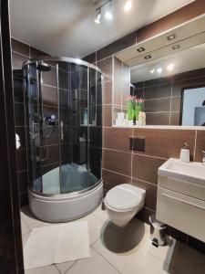 La salle de bains est pourvue d'une douche, de toilettes et d'un lavabo. dans l'établissement Apartament 6 osób Włodawa, à Włodawa