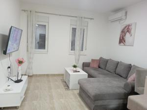 a living room with a couch and a tv at Apartmani Marija in Vrdnik
