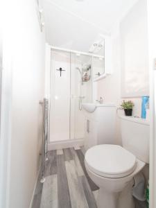 een witte badkamer met een toilet en een douche bij Luxury chalet on cozy family campsite. in Garderen