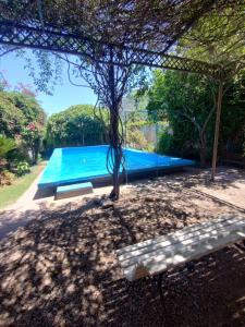una gran piscina con un árbol y un banco en Casa Valentin en La Rioja