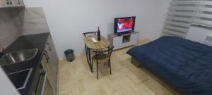 a bedroom with a bed and a chair and a television at Studio apartman " 3M " in Pale