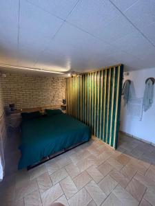 een slaapkamer met een groen bed in een kamer bij Le Ranch - proche centre ville in Reims
