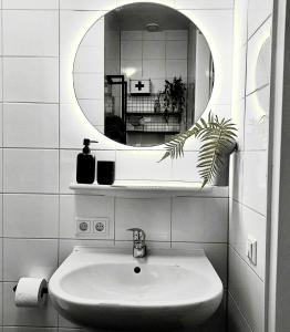 een badkamer met een wastafel en een spiegel bij Hotspot 83 in Alkmaar