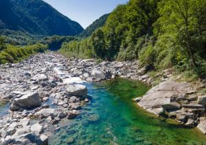 a river with rocks and trees on a mountain at Camping Piccolo Paradiso in Avegno