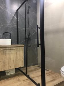 a bathroom with a shower with a sink and a toilet at Vip Sadyba Svalyava Apartment in Svalyava