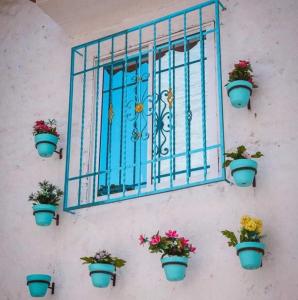 Fotografie z fotogalerie ubytování El santorini colombiano cabaña v destinaci Puerto Triunfo
