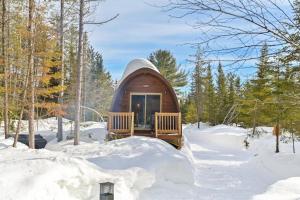 a tiny house in the snow in the woods at Chalet Alice à louer avec Spa Mauricie in Saint-Alexis-des-Monts