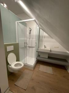 a bathroom with a shower and a toilet and a sink at Holiday Home De Brikke in Wervik