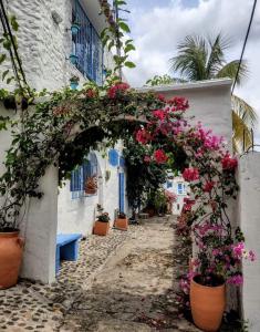 Zahrada ubytování El santorini colombiano cabaña