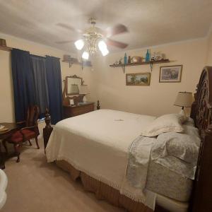 um quarto com uma cama e uma ventoinha de tecto em Serenity Hill bed and Breakfast em Brownsville