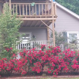 uma casa com flores vermelhas em frente a uma varanda em Serenity Hill bed and Breakfast em Brownsville