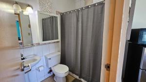 uma casa de banho com um WC, um lavatório e um chuveiro em Parguera Suites (Room), La Parguera, Lajas, PR em Lajas