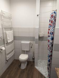 a small bathroom with a toilet and a shower at Várfal apartman in Kőszeg