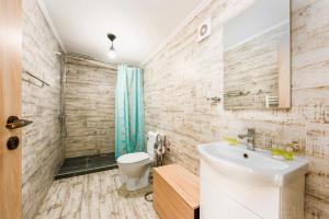 a bathroom with a sink and a toilet at RAI Lodges Bran - Predelut in Bran