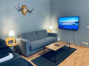 TV a/nebo společenská místnost v ubytování Hotel-standard design apartment with private sauna and terrace