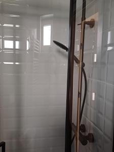 una doccia con porta in vetro in bagno di Pstrągowe Zacisze a Korczyna