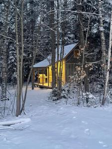 une cabine dans les bois dans la neige dans l'établissement Tiny Home Bliss, à Harcourt