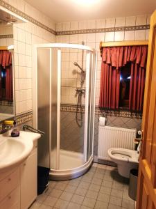 a bathroom with a shower and a sink and a toilet at Apartma Smučišče Krvavec in Cerklje na Gorenjskem