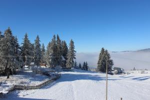 a snow covered slope with trees and a pole at Apartman Božić in Šišava