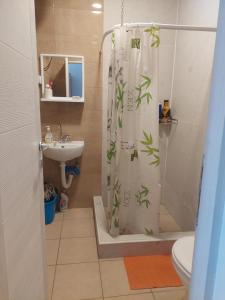 Koupelna v ubytování Apartmani Popović