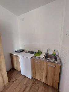 Kuchyň nebo kuchyňský kout v ubytování Apartmani Popović + 5 fotografií