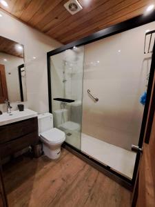 a bathroom with a shower and a toilet and a sink at Casa hermosa vista in Boca Pupuya