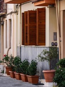 une rangée de plantes en face d'un bâtiment avec fenêtre dans l'établissement Filigran I - Stylish Apartment with Free parking, à Ioannina