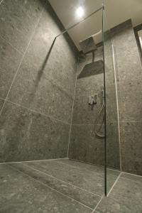 eine Dusche mit Glastür im Bad in der Unterkunft Goethe-Suites: Premium 4 Person Worms city centre Appartment in Worms