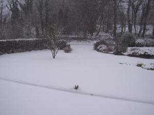 PK Lodge Bed and breakfast durante l'inverno